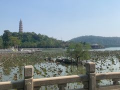 -顺峰山公园