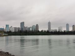 -万绿园