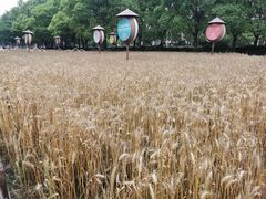 -证大喜玛拉雅中心