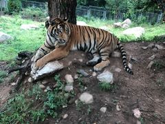 -西安秦岭野生动物园