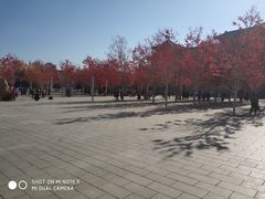 -哈工程图书馆