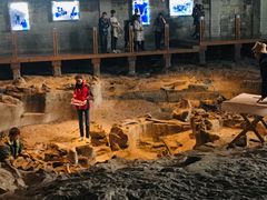 -自贡恐龙博物馆