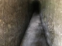 -马王堆汉墓遗址