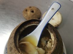 -達揚原味燉品(文明路店)