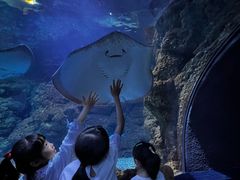 -南昌海洋公园