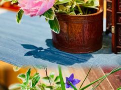 -时光花园(白鹭洲店)