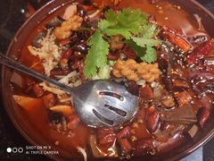 水煮毛血旺-蜀都丰 川菜·水煮活鱼(万象九宜城店)