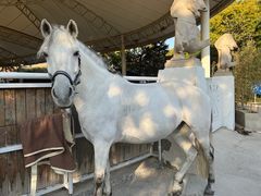 -J Create城市露营咖啡·简餐·宠物(上海动物园店)