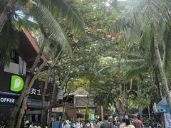 -海南分界洲岛旅游区