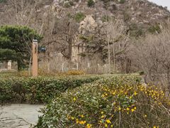 -北京鹫峰国家森林公园