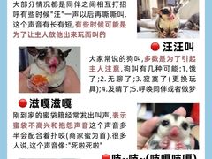 -爱侣宠医·鹦鹉专科·小型哺乳类·异宠专科(灵石路店)