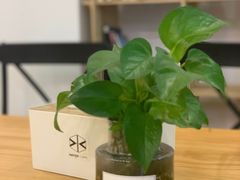 -WATER CAFE(广厦店)