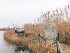 -溱湖国家湿地公园