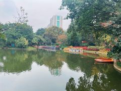 -晓港公园