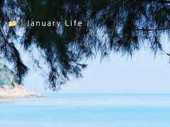 -海之鲜大排档(东山海鲜金銮湾店)