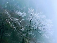 -秦岭天竺山景区