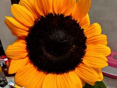 -师任堂韩式食品(总店)