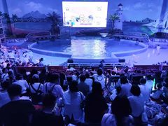 -海合安武汉极地海洋公园
