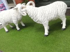 -九府羊鲜羊火锅·烧烤(海那城店)