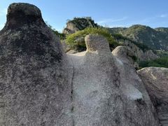 -大岭沟猕猴桃谷风景区