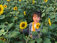 -映月湖中央公园