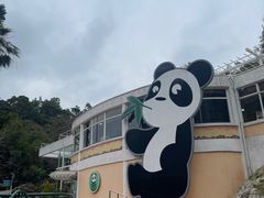 -石排湾郊野公园