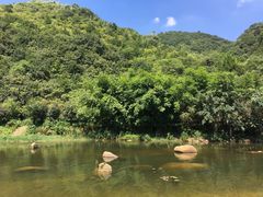 -武汉姚家山旅游景区