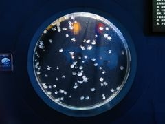 -太平洋海底世界