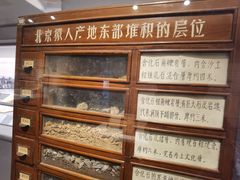 -北京大学赛克勒考古与艺术博物馆