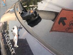 -石头咕(葵蓬店)