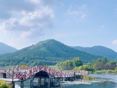 -洮儿河国家湿地公园