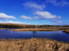 -塞罕坝国家级自然保护区