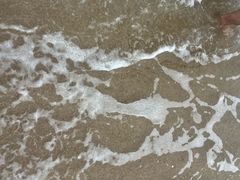 -玫瑰海岸文化旅游度假区
