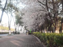 -玉山公园