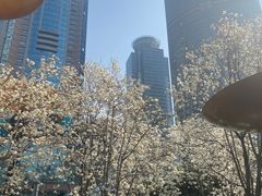 -陆家嘴中心绿地