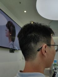 -YESIDO椰岛造型