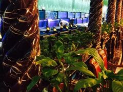 -万宝海鲜舫(劳动公园店)