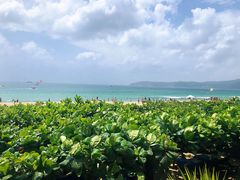 -三亚亚龙湾天域度假酒店