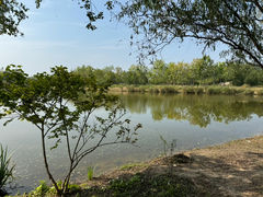 -东郊湿地公园