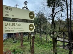 -中国大熊猫保护研究中心雅安碧峰峡基地