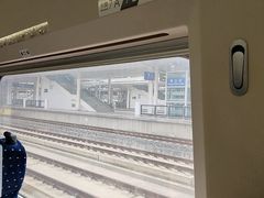 -商丘站