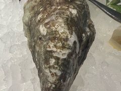 -Oyster Talks 四度蚝法餐厅