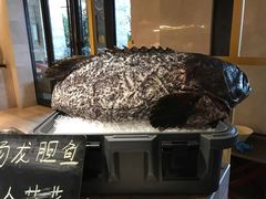 -大理实力希尔顿酒店•香全日制餐厅