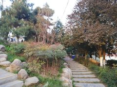 -西安青龙寺遗址景区
