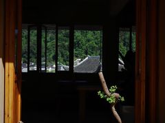 -上席擂茶·新中式青年茶馆(古城店)