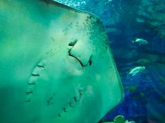 -福州罗源湾海洋世界旅游区