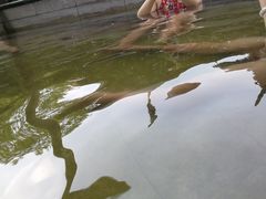 -咸宁万豪温泉谷度假区