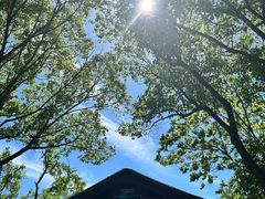 -长广溪湿地公园