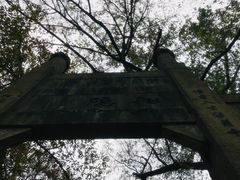 -镇江市南山风景名胜区竹林景区