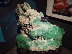 -湖南省地质博物馆